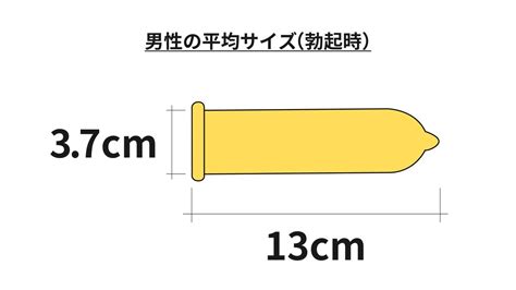 勃起長さ平均|【正しく知ろう】男性のサイズ。｜Sexual Lifehac